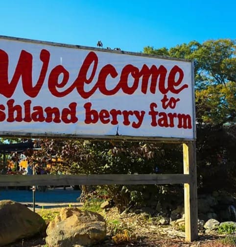 Bring your kids to Ashland Berry Farm for a day of fun activities!