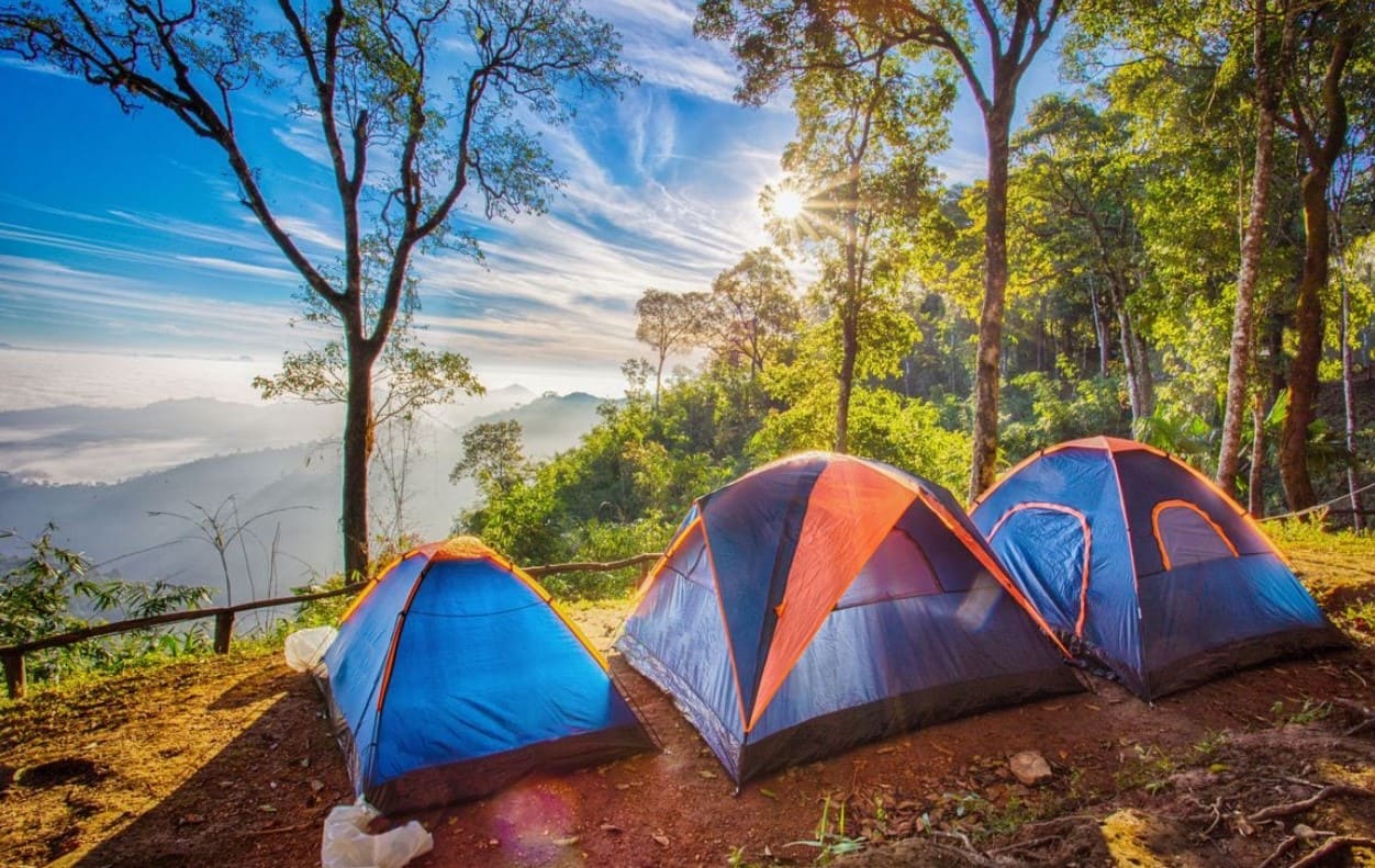 Go camping: Things to do on 4th of July