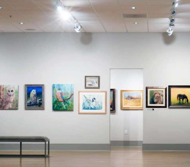 gainesville ga things to do: Quinlan Visual Arts Center